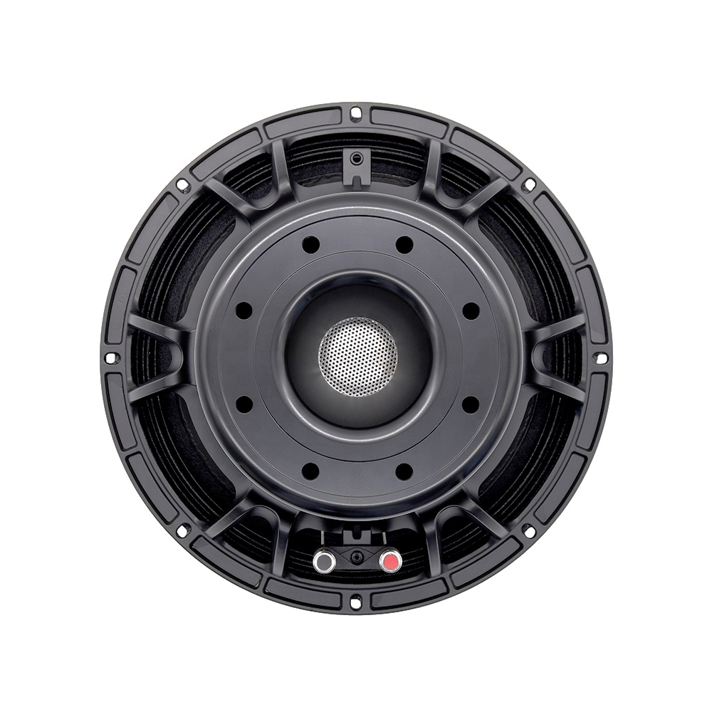 Speakers - 12DS Pro Audio Equipment 12'' Speaker