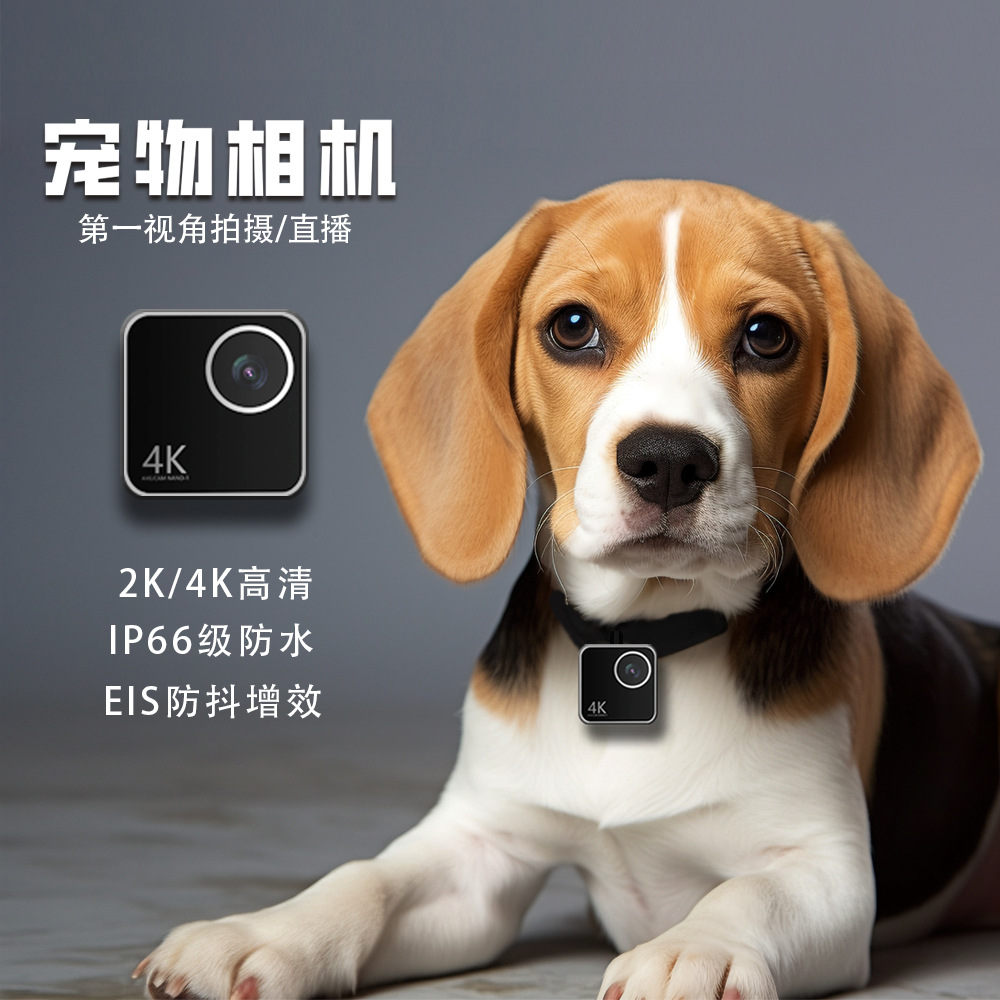 Animal cat dog pet camera firs - Cameras review and price