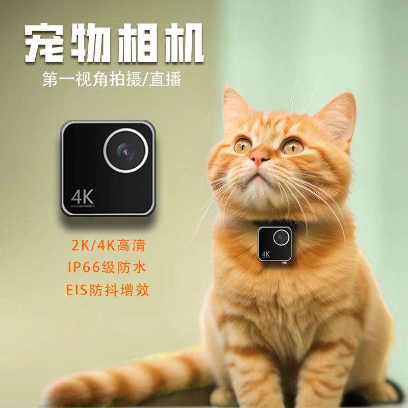 Animal cat dog pet camera firs - Cameras review and price