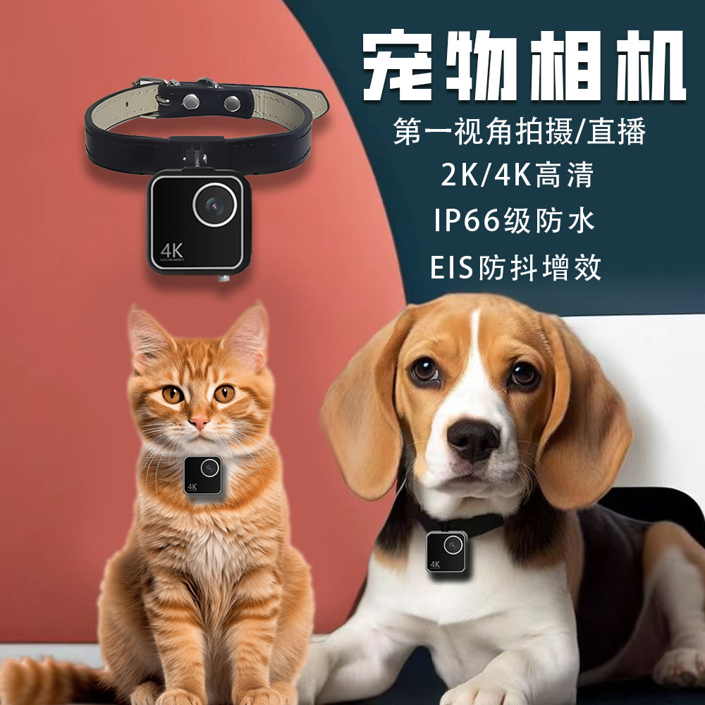 Animal cat dog pet camera firs - Cameras review and price