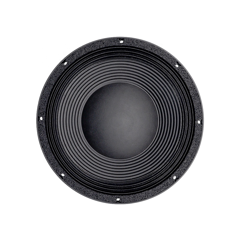 12DS Pro Audio Equipment 12''  - Speakers review and price