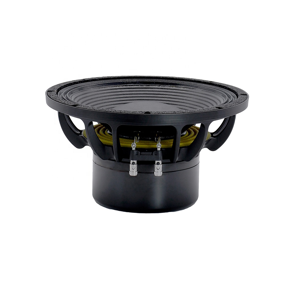 12DS Pro Audio Equipment 12''  - Speakers review and price