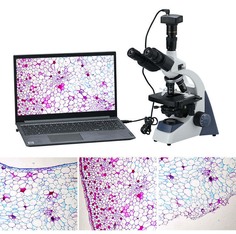 Binocular Biological Digital V - Cameras review and price