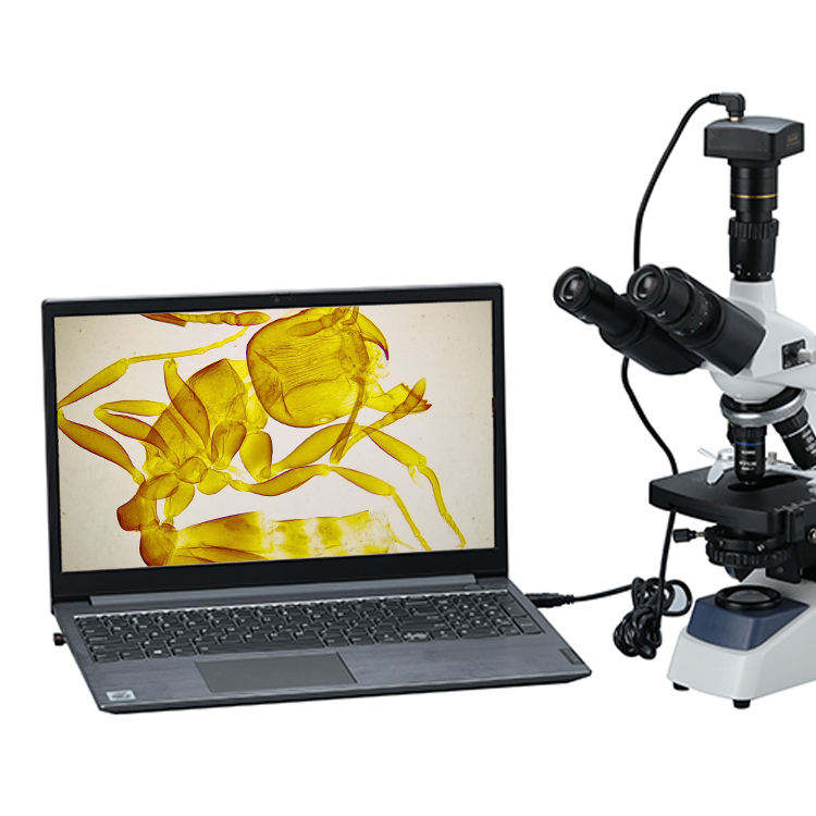 Binocular Biological Digital V - Cameras review and price